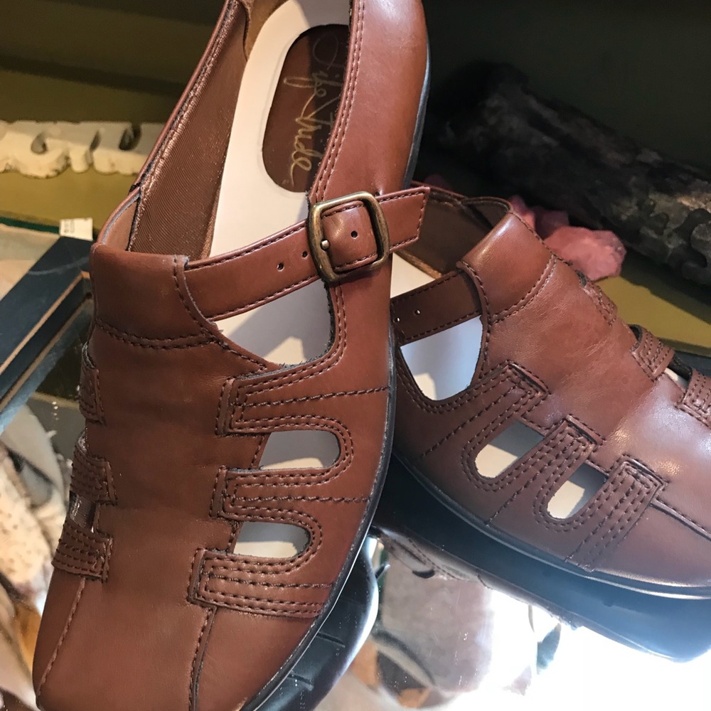 Stride Life brown monks